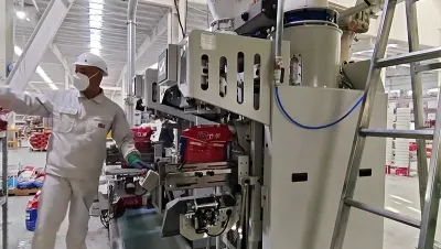 ماكينة تعبئة المساحيق والحبيبات في أكياس بالنظام الوزني الدقيق (مزودة بنظام لحام وغلق محكم)